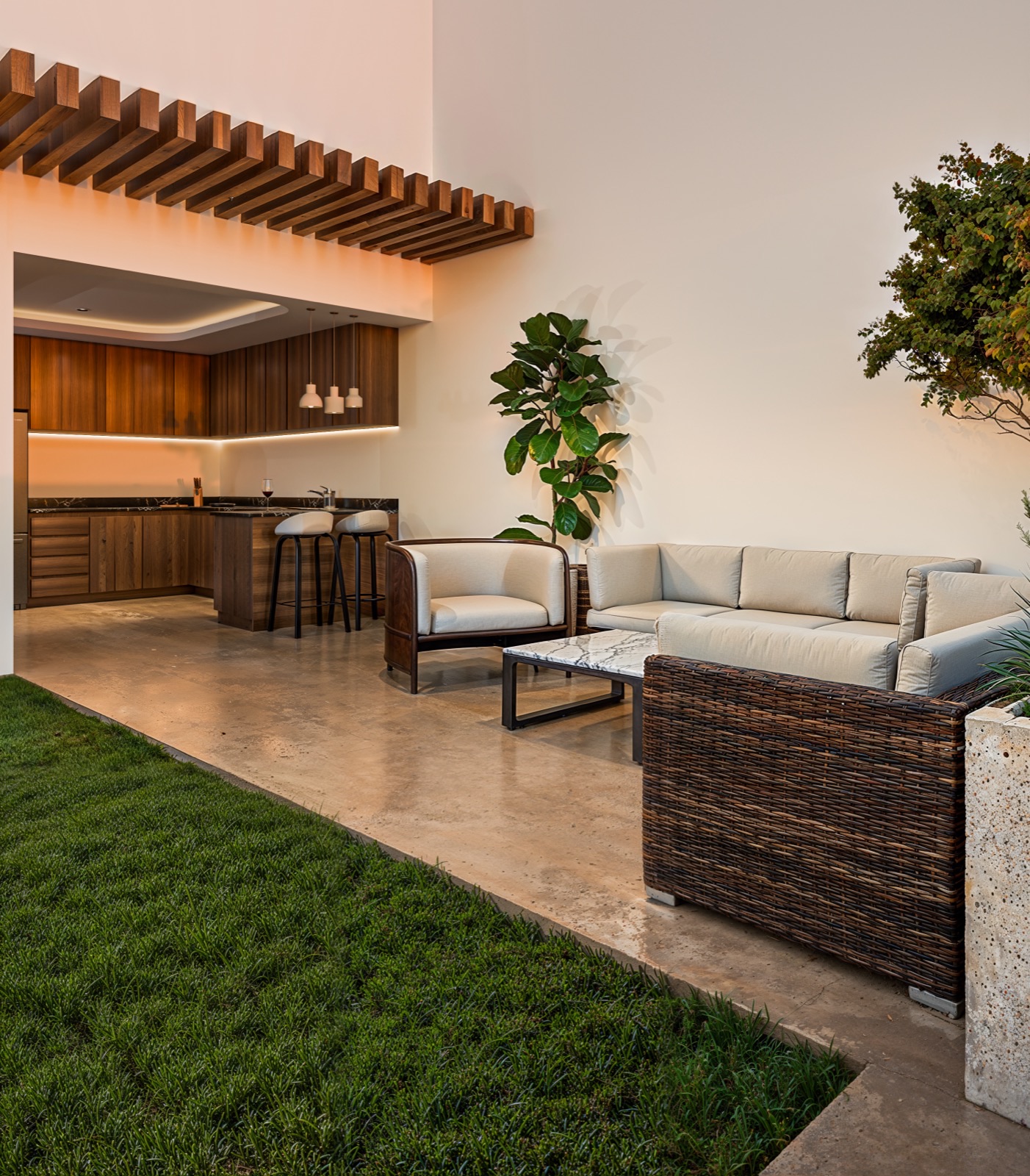 Terraza-jardín
